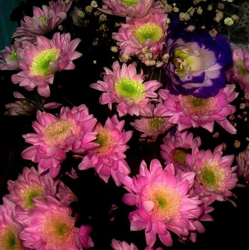 ... ����� Natali  ��������� �� PhotoGeek.ru #������ ��� ������� #����� ��������������