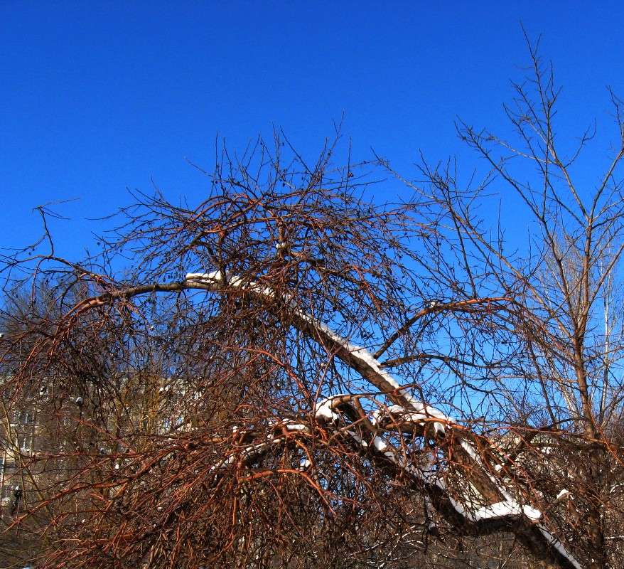 ... ����� Natali  ��������� �� PhotoGeek.ru #������ ��� ������� #����� ��������������