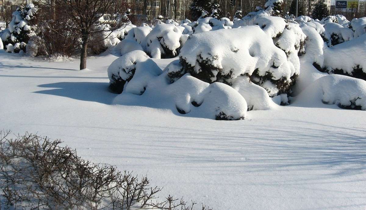 ... ����� Natali  ��������� �� PhotoGeek.ru #����� #������ ��� ������� #��������� ������