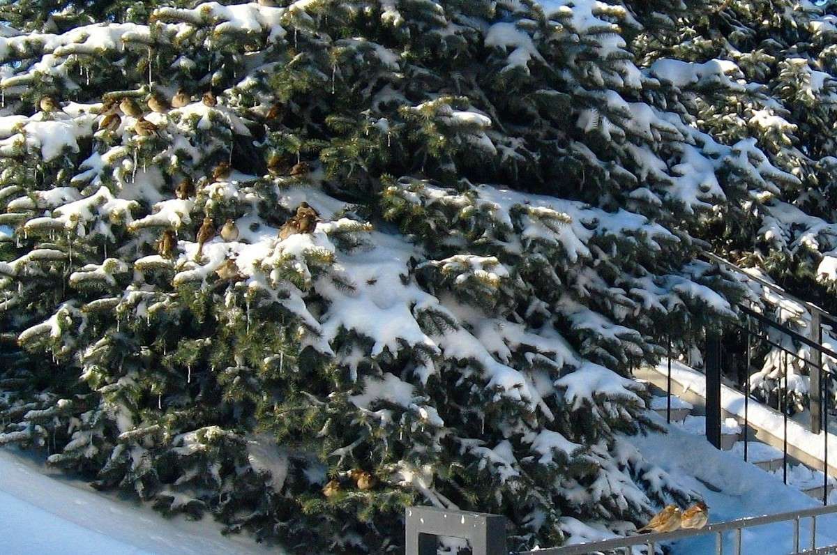 ������, �������� � ��������� ������....))) ����� Natali  ��������� �� PhotoGeek.ru #�������� ��� #������ ��� ������� #����� ��������������