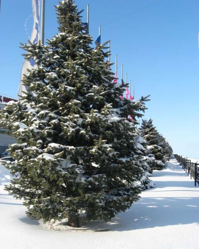 ����..... ����� Natali  ��������� �� PhotoGeek.ru #����� #������ ��� ������� #��������� ������ #����� ��������������