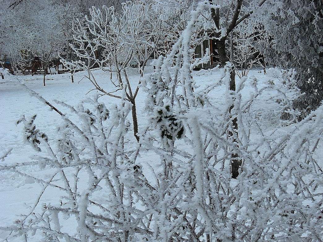 ���� ����� Natali  ��������� �� PhotoGeek.ru #������ ��� ������� #����� �������������� #����� ��������