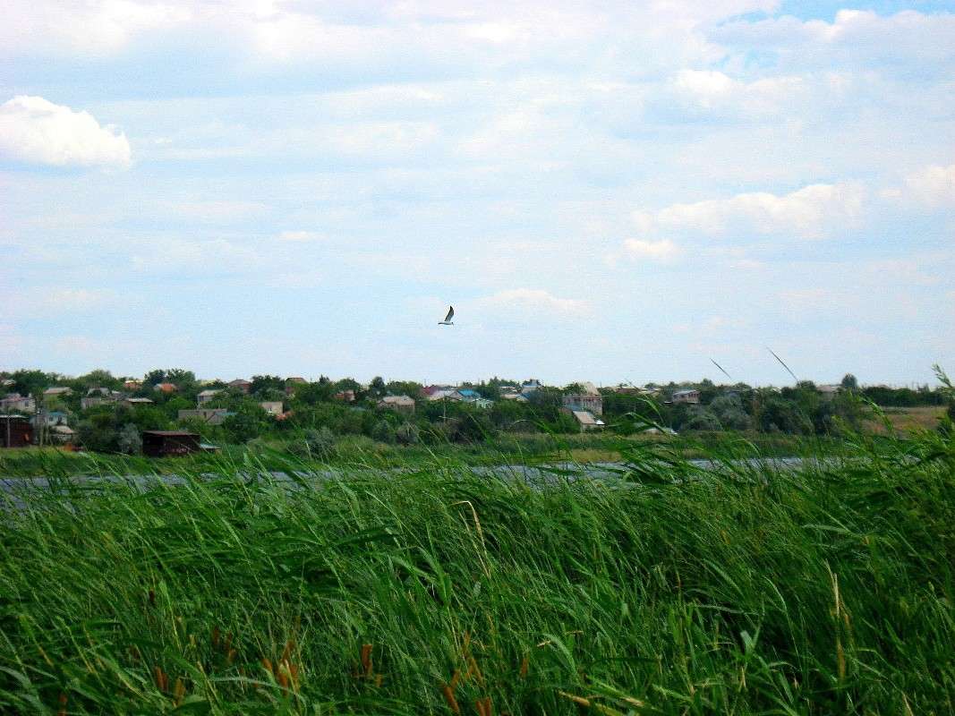 ... ����� Natali  ��������� �� PhotoGeek.ru #�������� ��� #������ ��� ������� #����� �������������� #����� ��������