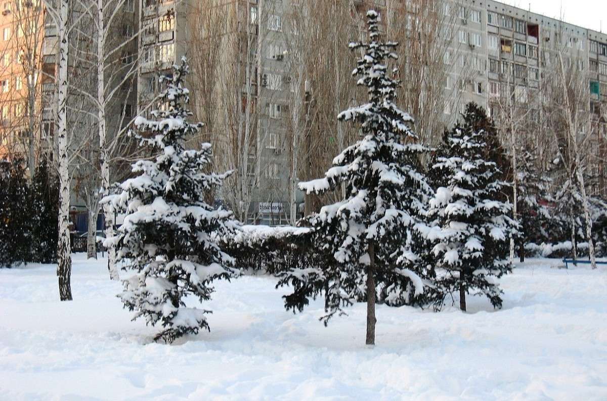 ��������� �����, �������� .... ����� Natali  ��������� �� PhotoGeek.ru #����� #������ ��� ������� #��������� ������