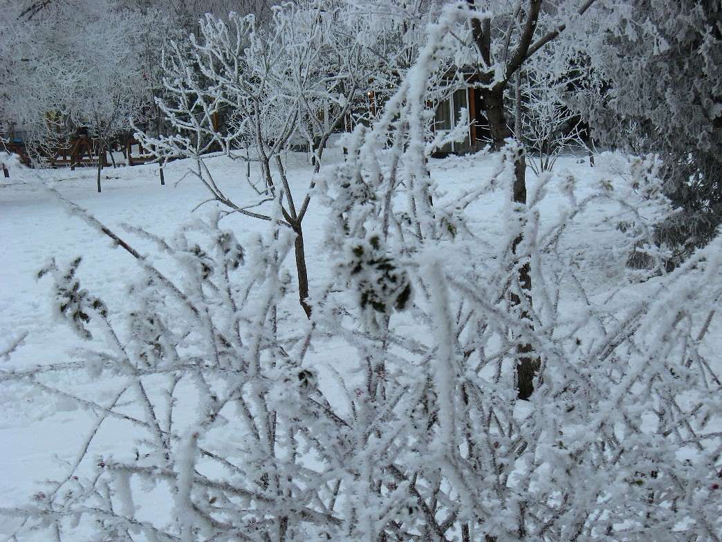 ���� ����� Natali  ��������� �� PhotoGeek.ru #������ ��� ������� #����� ��������������