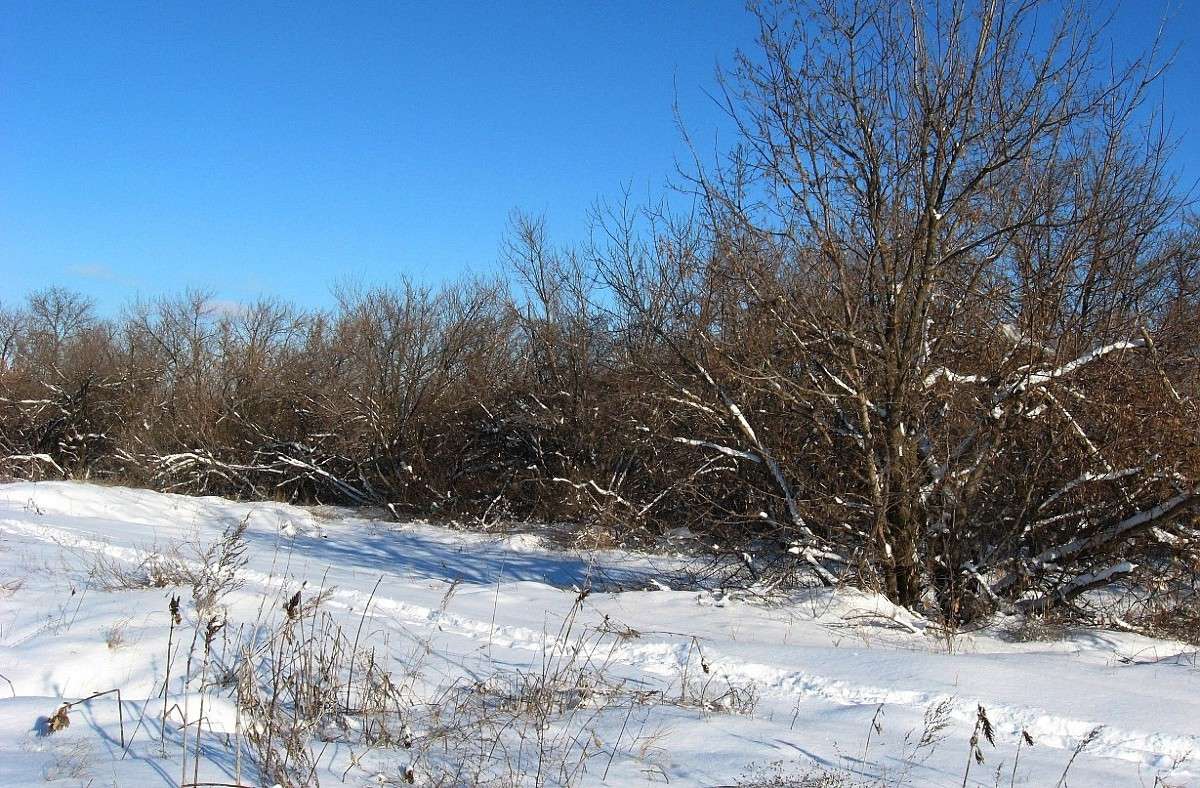 ������-�������.... ����� Natali  ��������� �� PhotoGeek.ru #������ ��� ������� #����� ��������������