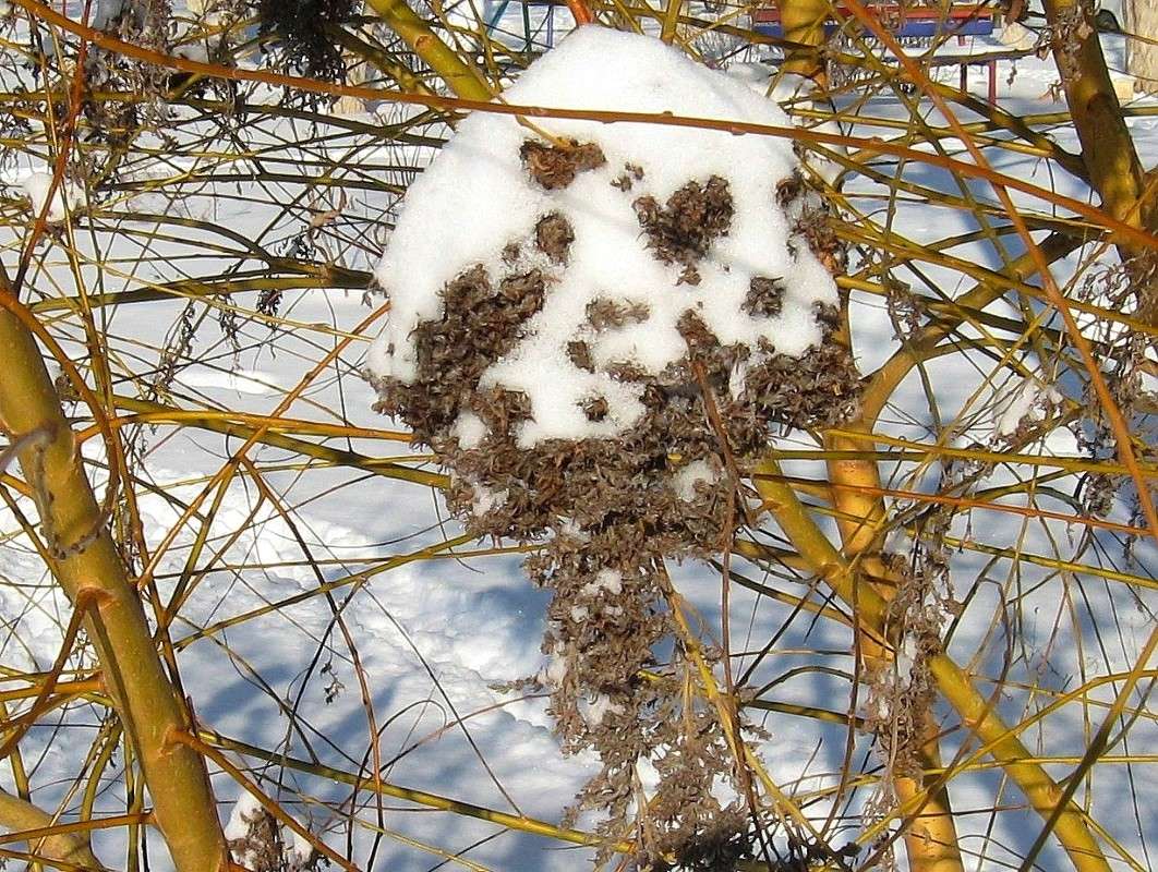 ... ����� Natali  ��������� �� PhotoGeek.ru #������ ��� ������� #����� ��������������