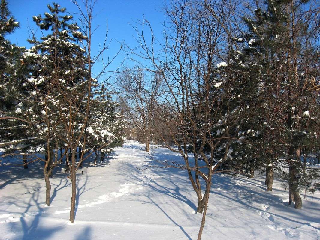 �����-������� ...2 ����� Natali  ��������� �� PhotoGeek.ru #������ ��� ������� #����� ��������������