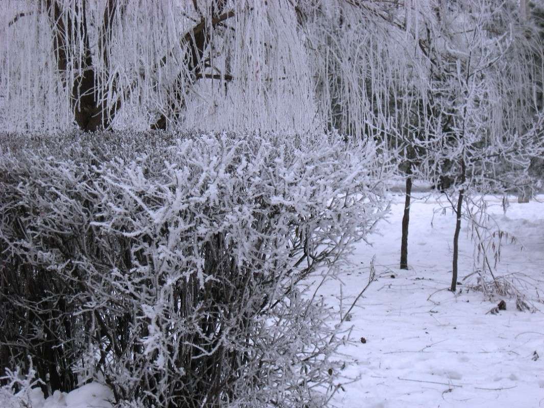 ����... ����� Natali  ��������� �� PhotoGeek.ru #������ ��� ������� #����� ��������������