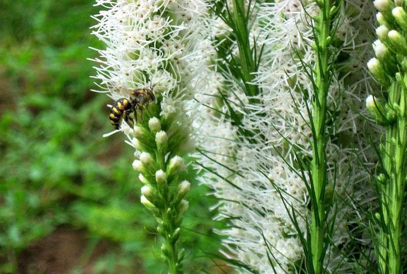 ������ �� ����..... ) ����� Natali  ��������� �� PhotoGeek.ru #�������� ��� #������ ��� ������� #����� ��������������