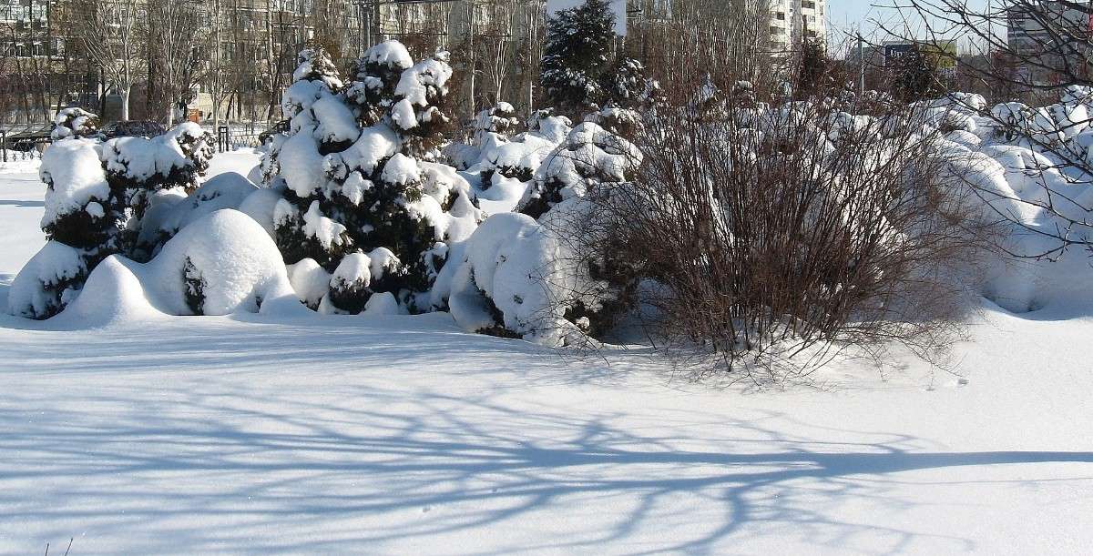 ����� ���������...2 ����� Natali  ��������� �� PhotoGeek.ru #����� #������ ��� ������� #��������� ������ #����� �������������� #����� ��������