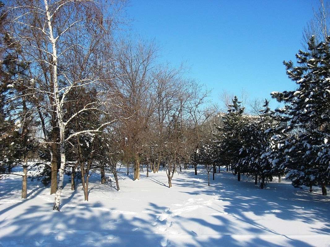 ... ����� Natali  ��������� �� PhotoGeek.ru #����� #������ ��� ������� #��������� ������ #����� ��������������