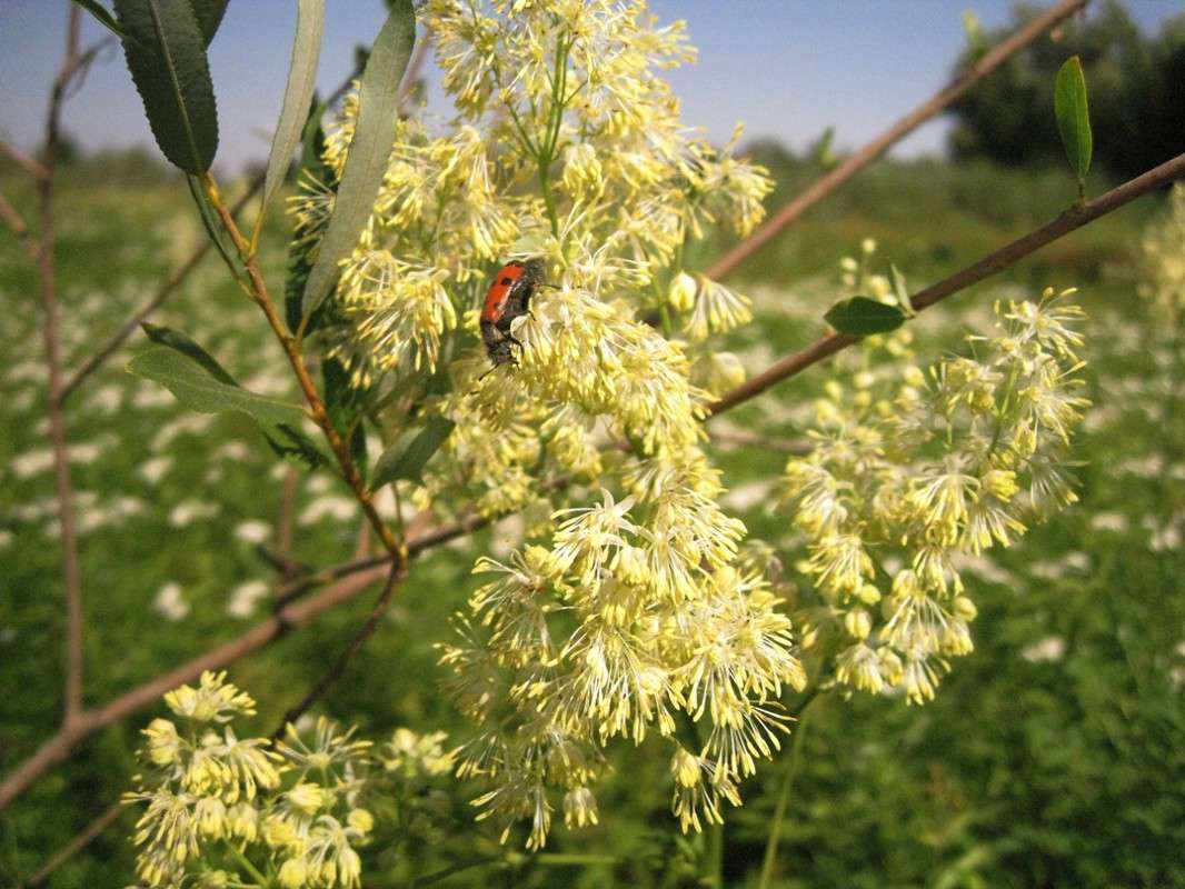 ��� ���� �����.....) ����� Natali  ��������� �� PhotoGeek.ru #�������� ��� #������ ��� ������� #����� ��������������