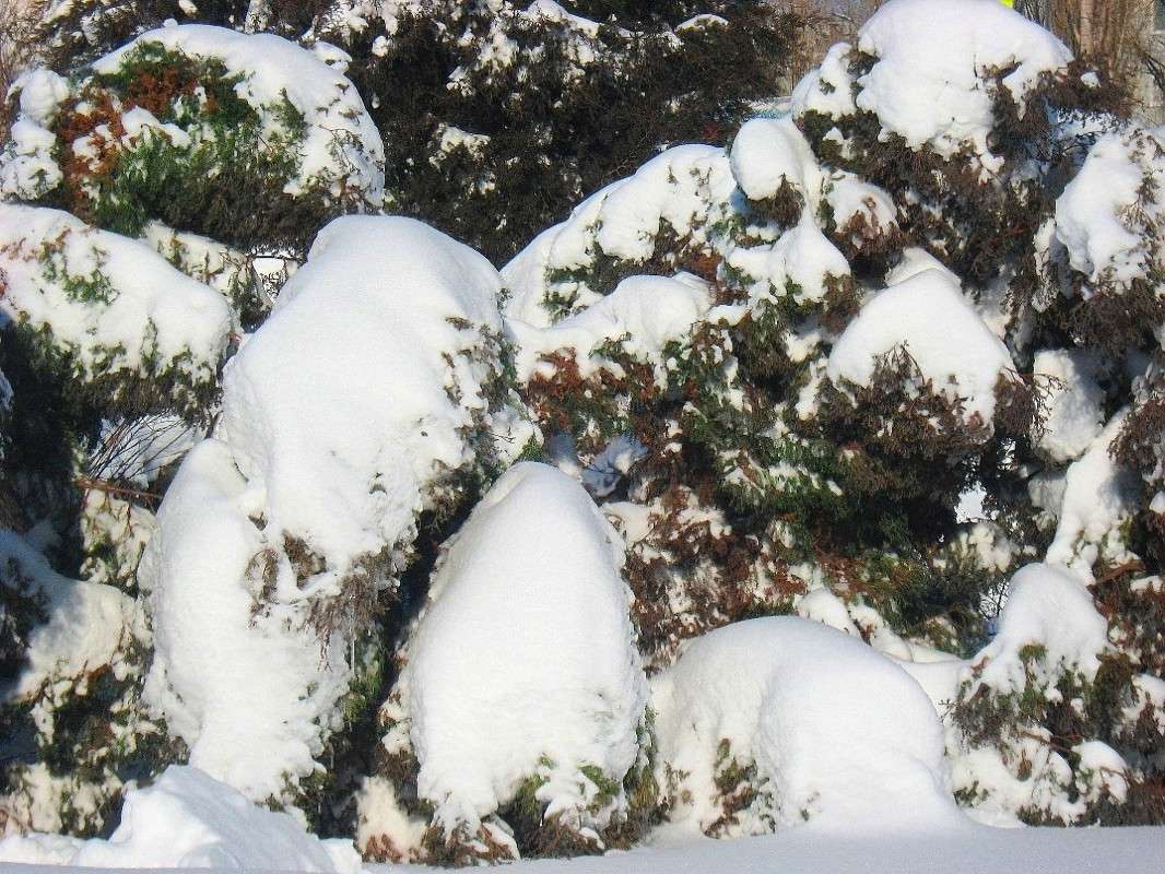 ����� ��������� ����� Natali  ��������� �� PhotoGeek.ru #������ ��� ������� #����� ��������������