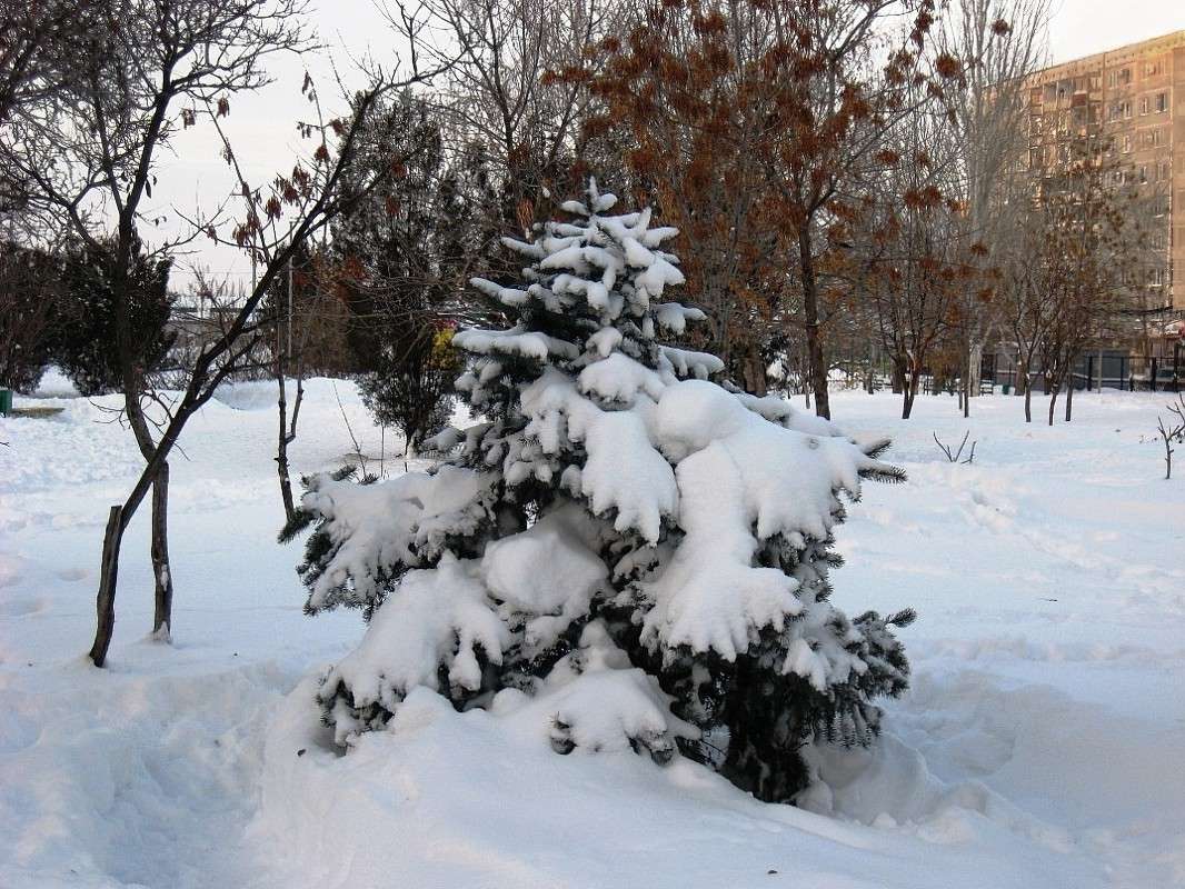 ... ����� Natali  ��������� �� PhotoGeek.ru #����� #������ ��� ������� #��������� ������