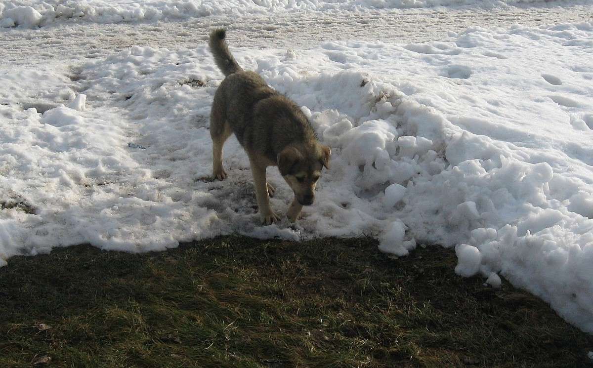 ��� ������ ����� ? ����� Natali  ��������� �� PhotoGeek.ru #�������� ��� #������ ��� �������