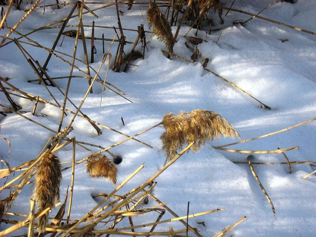 ������ �� ���� ���... ����� Natali  ��������� �� PhotoGeek.ru #������ ��� ������� #����� ��������������