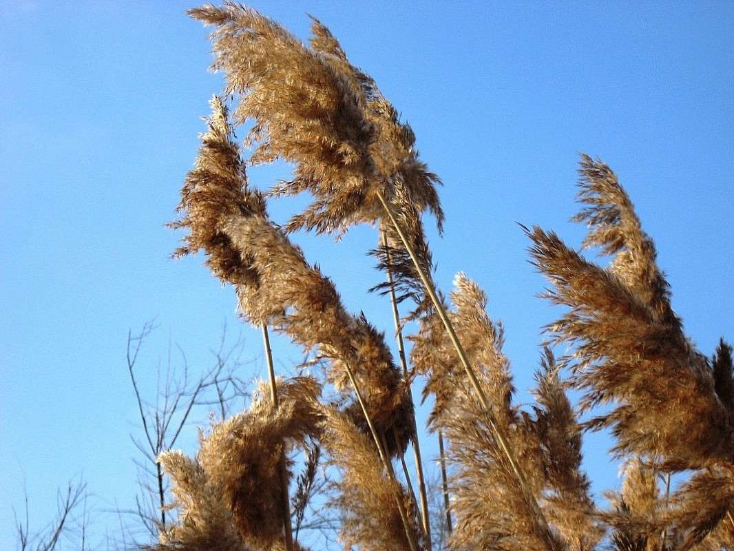 �� �� ���� �� �����....2 ����� Natali  ��������� �� PhotoGeek.ru #������ ��� ������� #����� ��������������