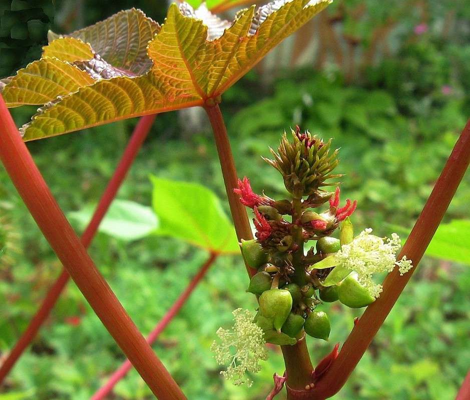 ��� ��� �������� ����... ? ))) ����� Natali  ��������� �� PhotoGeek.ru #������ ��� ������� #����� ��������������