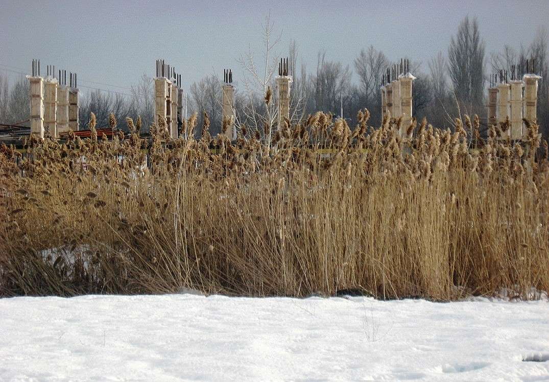 ������ � �����.... ����� Natali  ��������� �� PhotoGeek.ru #����� #������ ��� ������� #��������� ������ #����� ��������������