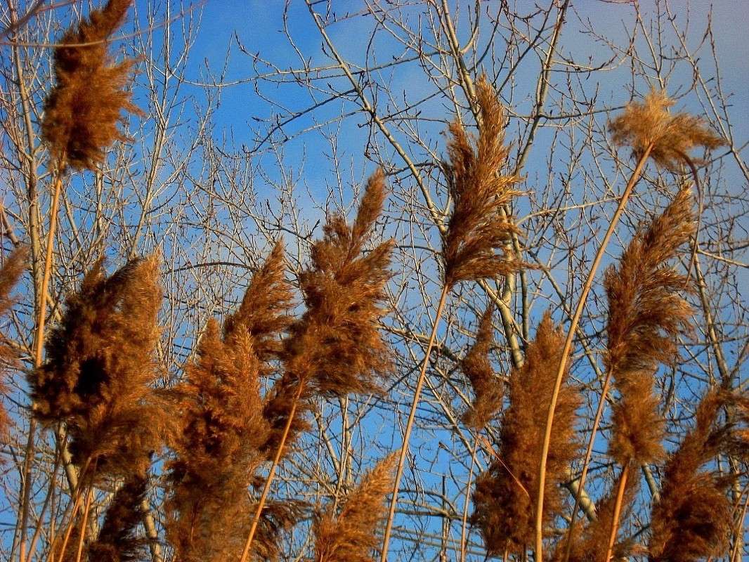 ����������� � ��������� ����� Natali  ��������� �� PhotoGeek.ru #������ ��� ������� #����� ��������������