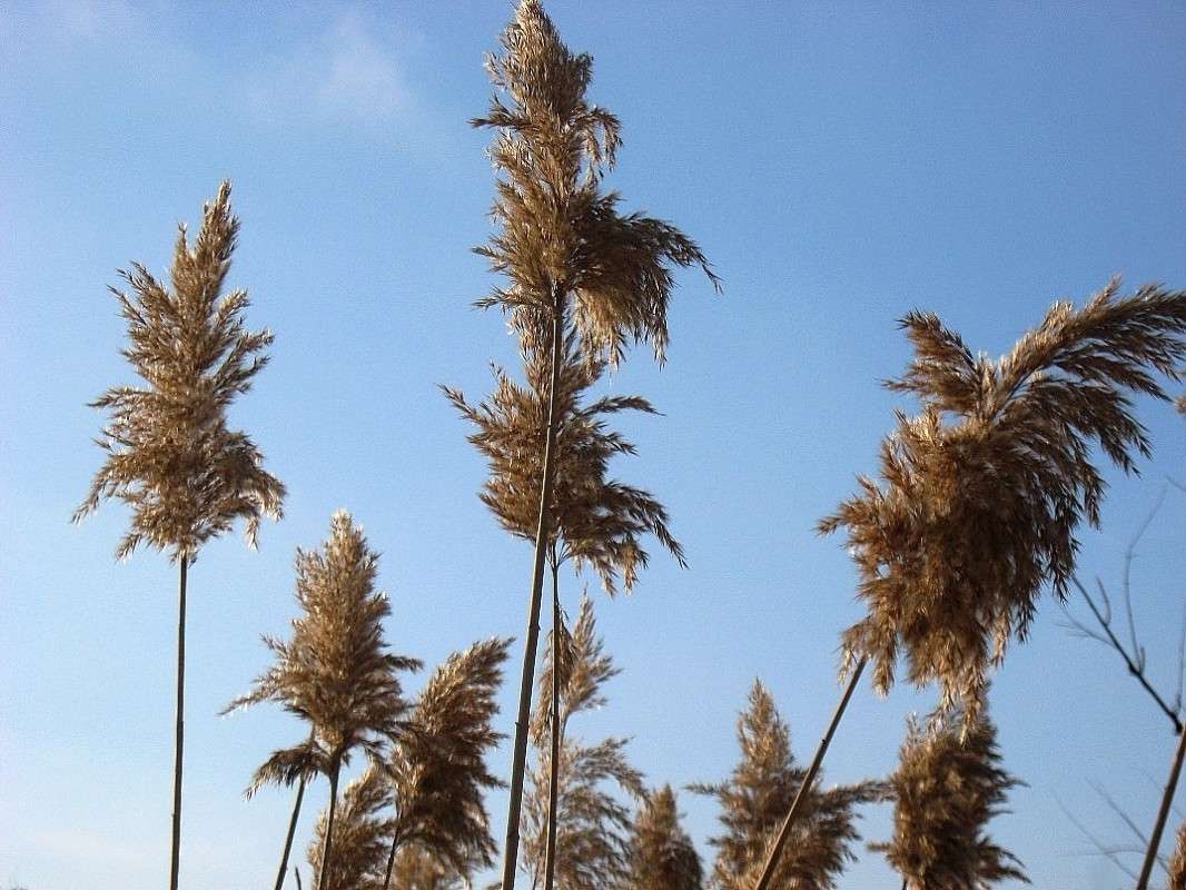 ��� ���� ����� ������.....) ����� Natali  ��������� �� PhotoGeek.ru #������ ��� ������� #����� ��������������