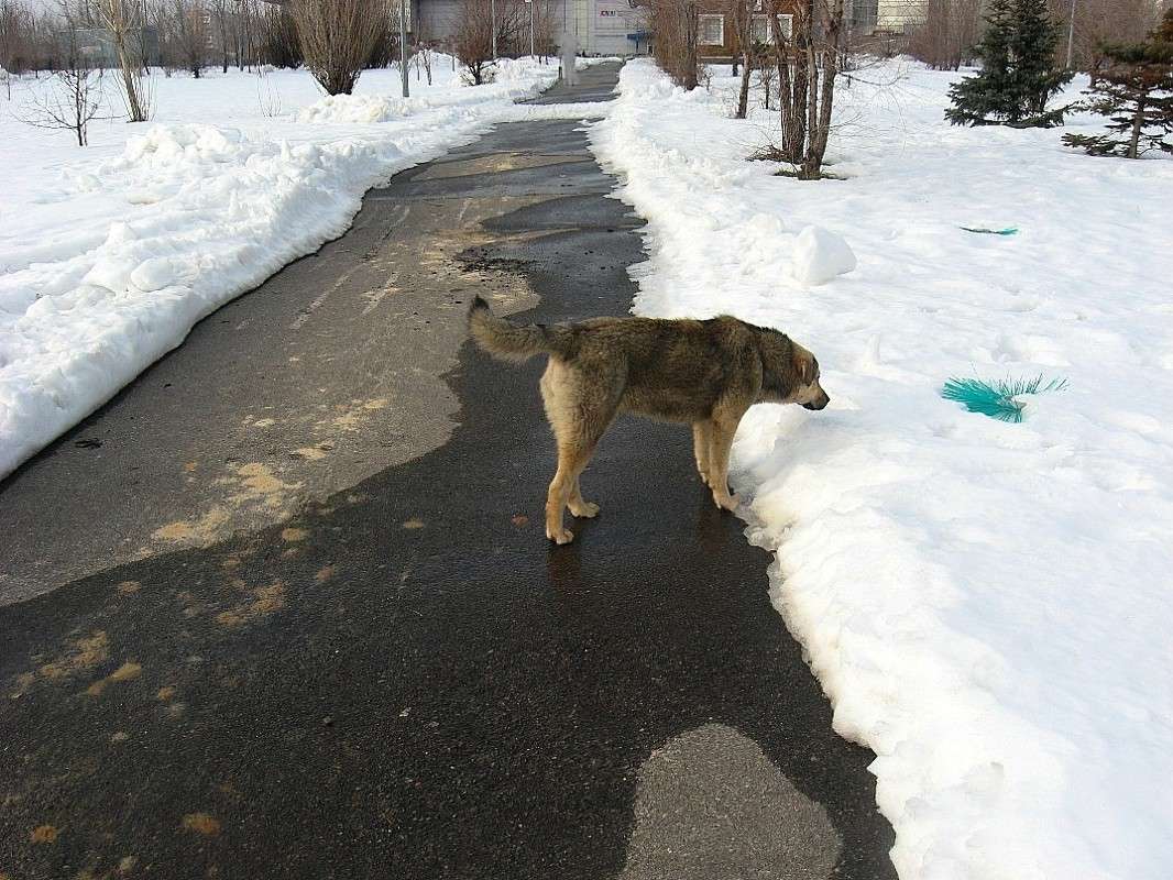 � ��� ��������� ? )...�� �������� ����� ����� Natali  ��������� �� PhotoGeek.ru #����� #�������� ��� #������ ��� ������� #��������� ������ #����� ��������������