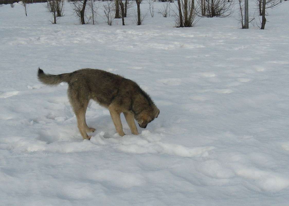 ��� ������ ��� ����� ?...���� ������...)) ����� Natali  ��������� �� PhotoGeek.ru #�������� ��� #����� ��� ��� ���������