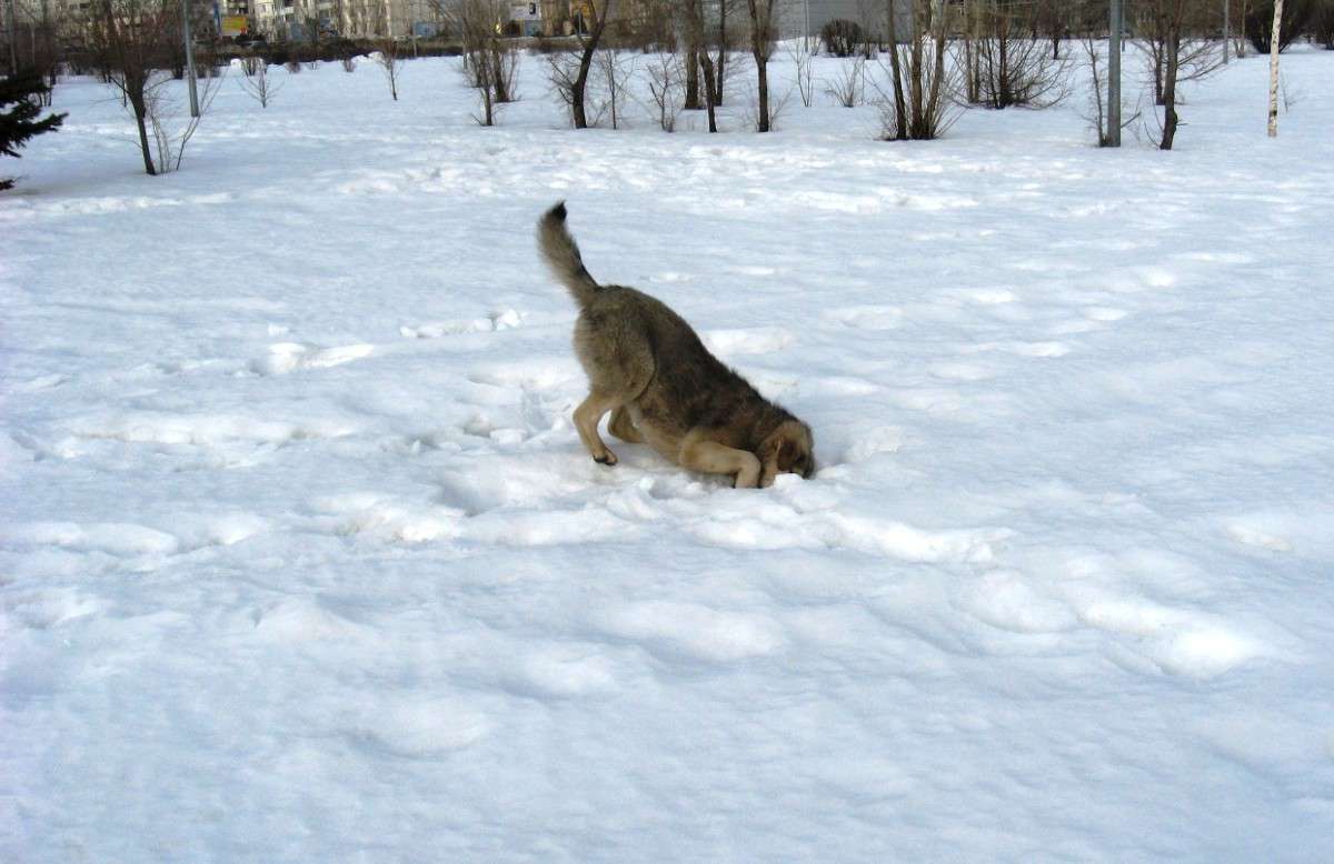 ��� ������ ��� ����� ?)...   ���� �����...) ����� Natali  ��������� �� PhotoGeek.ru #�������� ��� #����� ��� ��� ���������