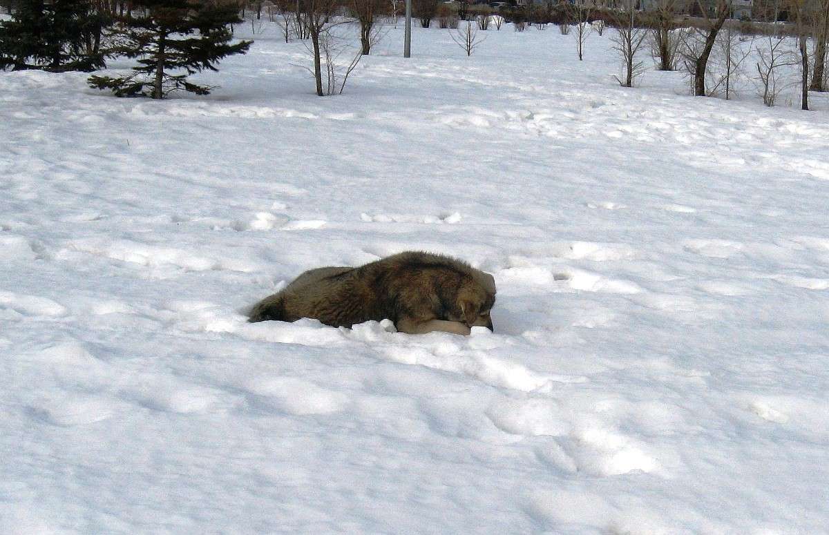 ������� !!! ����� Natali  ��������� �� PhotoGeek.ru #�������� ��� #����� ��� ��� ���������