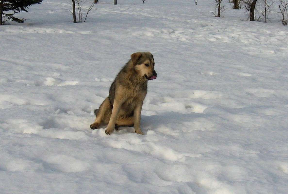 �� ����� ������, ��......., �����..... ) ����� Natali  ��������� �� PhotoGeek.ru #�������� ��� #����� ��� ��� ���������