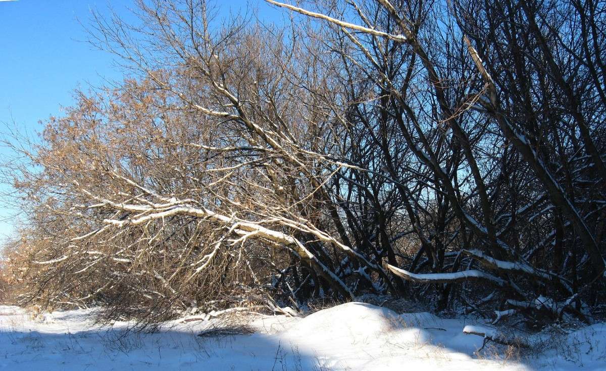 ����� ��������� 3 ����� Natali  ��������� �� PhotoGeek.ru #������ ��� ������� #����� ��������������