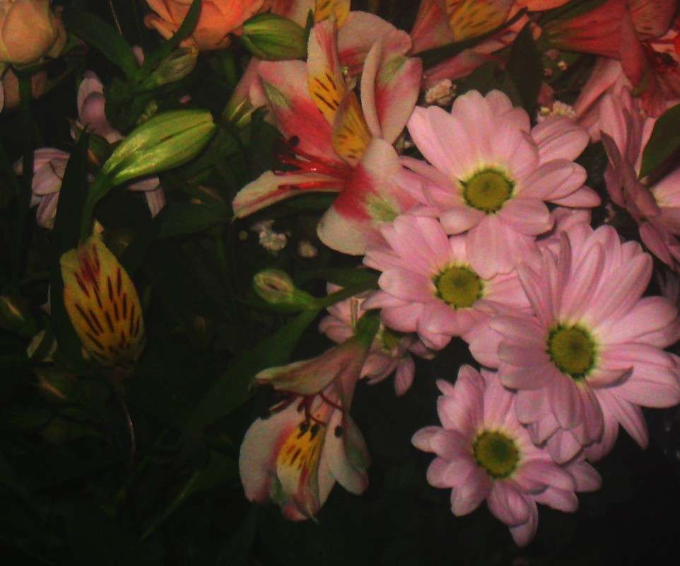 ����� ���������� ������ ����� Natali  ��������� �� PhotoGeek.ru #������ ��� ������� #����� ��������������