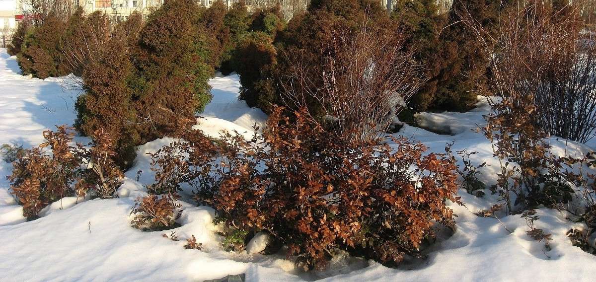 �������� ���� ����� Natali  ��������� �� PhotoGeek.ru #������ ��� ������� #����� ��������������