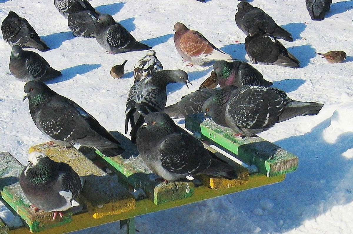 ���������, � �� �����.... ����� Natali  ��������� �� PhotoGeek.ru #�������� ���