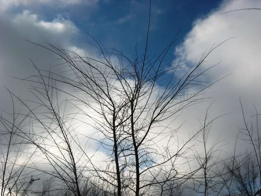 ����....? ) ����� Natali  ��������� �� PhotoGeek.ru #������ ��� ������� #����� ��������������