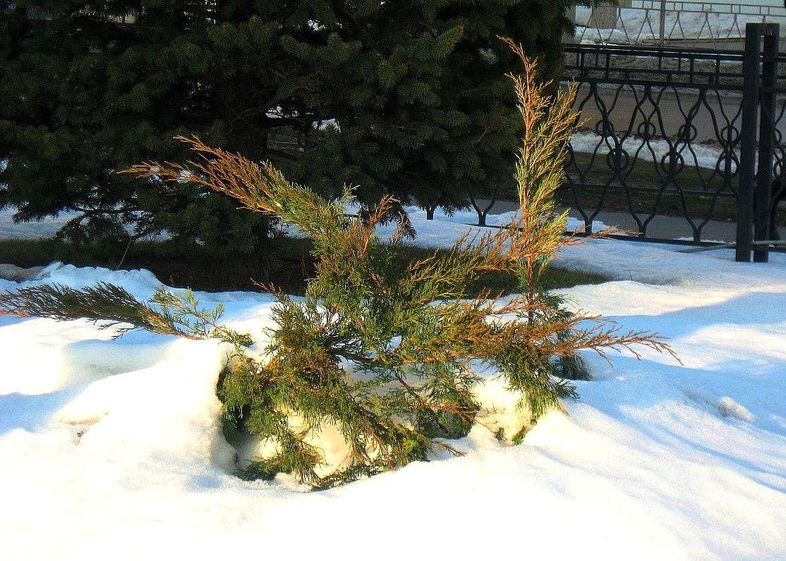 � ������.... ����� Natali  ��������� �� PhotoGeek.ru #������ ��� ������� #����� ��������������