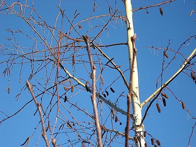 ... ����� Natali  ��������� �� PhotoGeek.ru #������ ��� ������� #����� ��������������