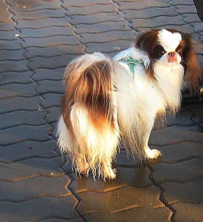 ����� ��������, ������� ���������...) ����� Natali  ��������� �� PhotoGeek.ru #�������� ��� #�������� ����������