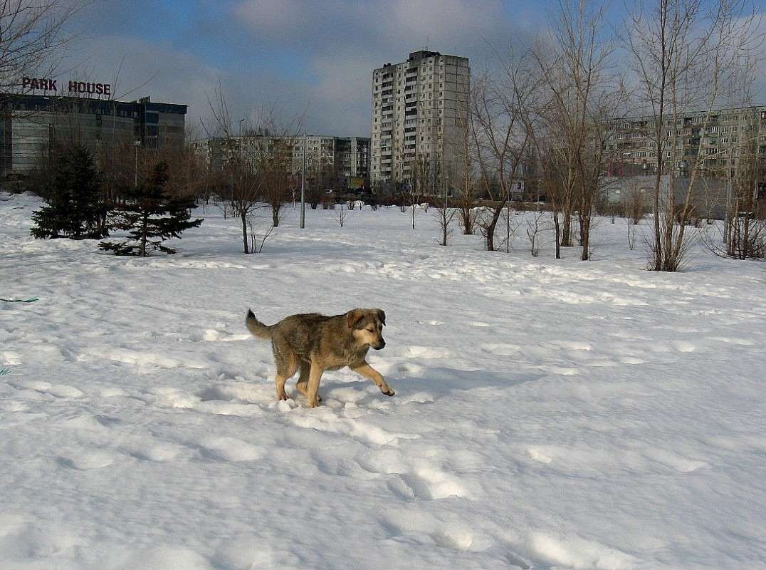 "������� �������"......) ����� Natali  ��������� �� PhotoGeek.ru #�������� ��� #������ ��� �������