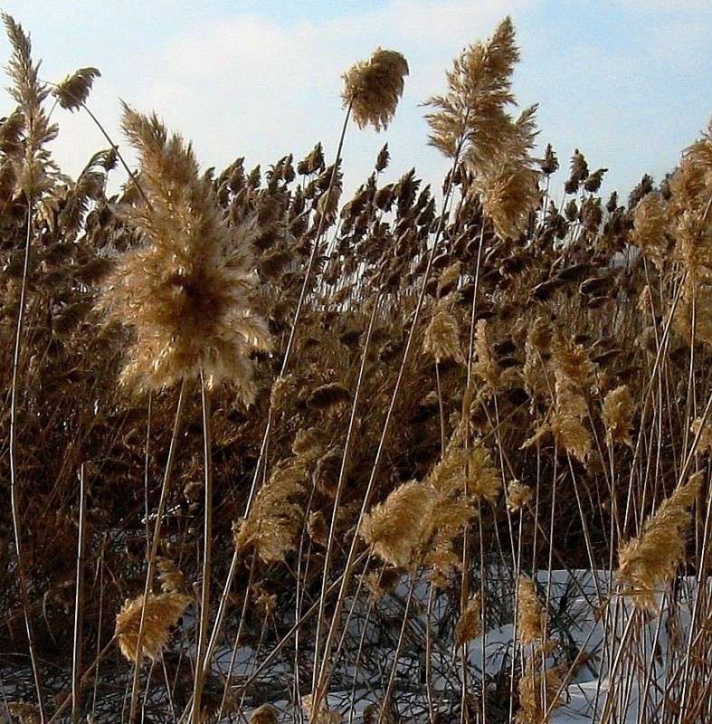 ������� � ������ ! ����� Natali  ��������� �� PhotoGeek.ru #������ ��� ������� #����� ��������������