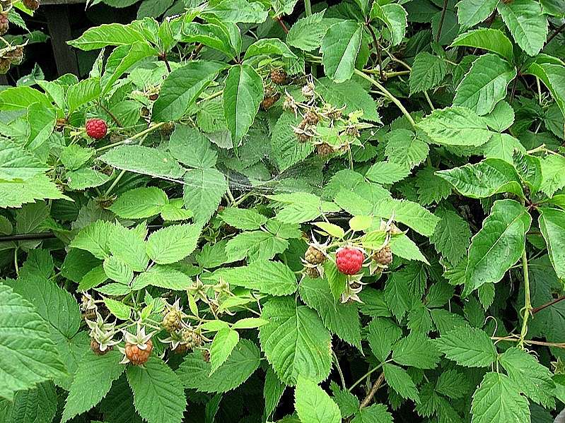 ... ����� Natali  ��������� �� PhotoGeek.ru #������ ��� ������� #����� ��������������