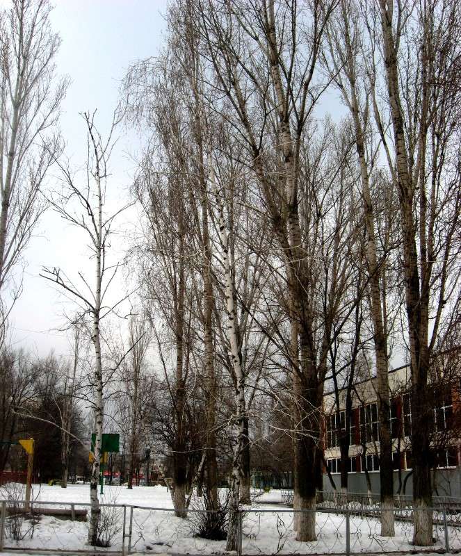 ... ����� Natali  ��������� �� PhotoGeek.ru #����� #������ ��� ������� #��������� ������ #����� ��������������