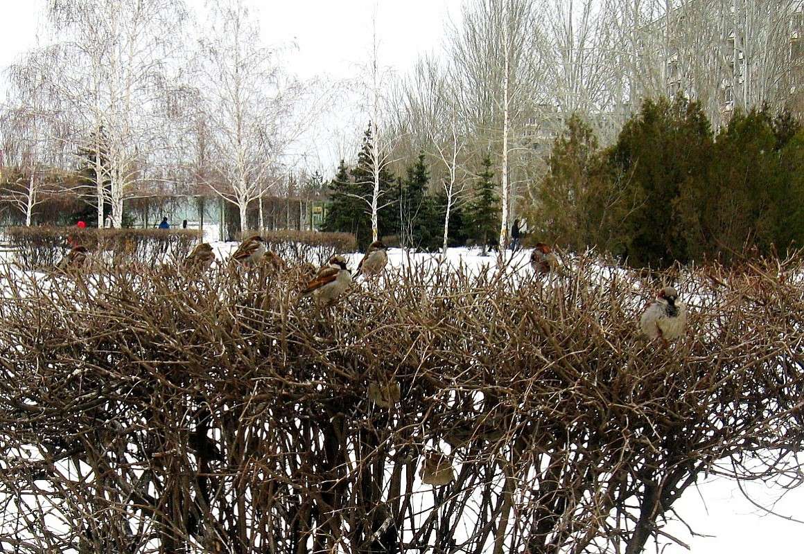 ������ � ���������...) ����� Natali  ��������� �� PhotoGeek.ru #����� #�������� ��� #������ ��� ������� #��������� ������ #���������