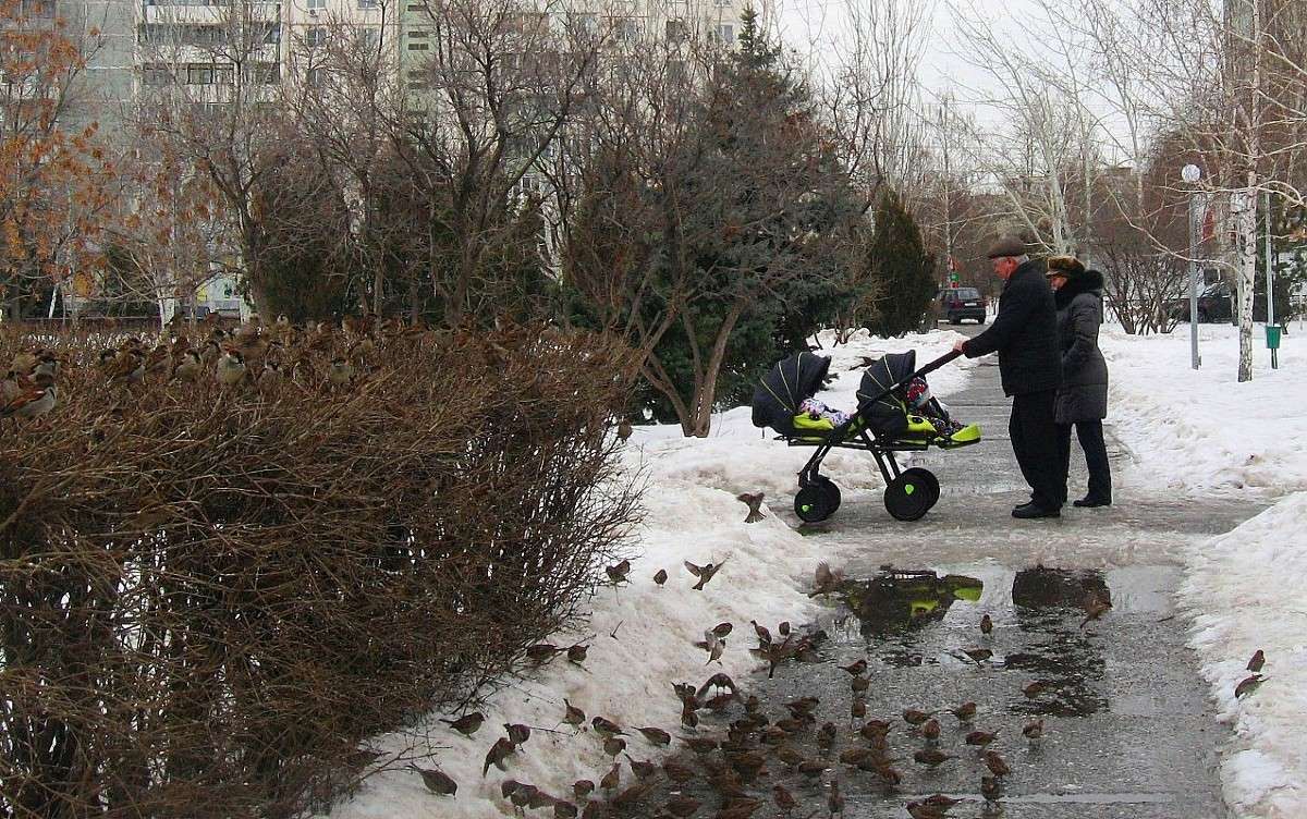 �����.... ����� Natali  ��������� �� PhotoGeek.ru #�������� ��� #������ ��� ������� #�������� ���������� #����� �������������� #��������� #���������������