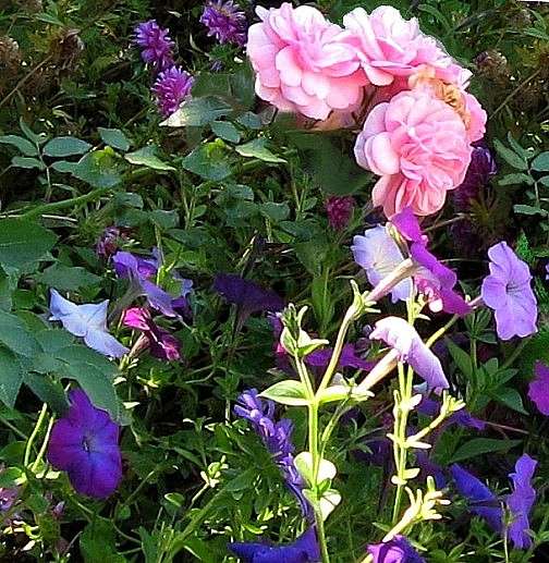 ��� �����.....ElenaBuligina ����� Natali  ��������� �� PhotoGeek.ru #������ ��� ������� #����� ��������������