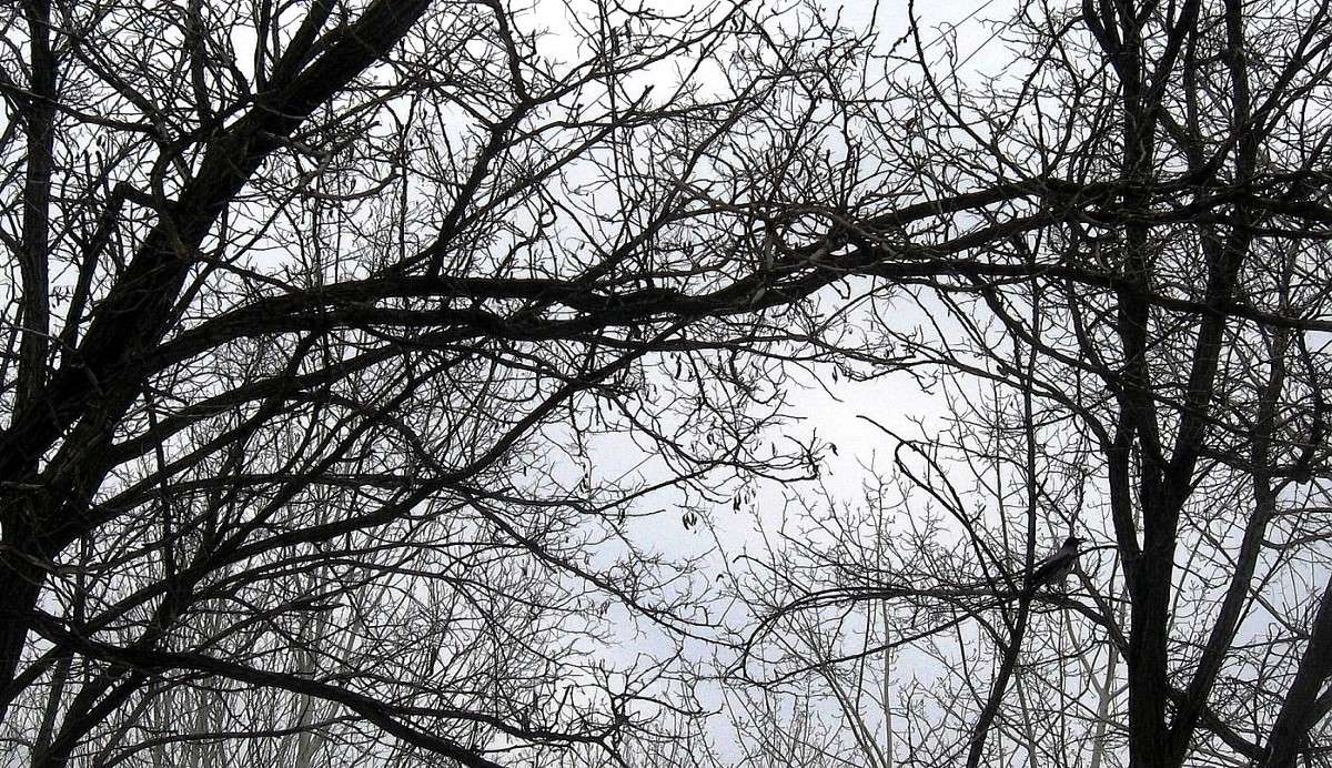 ����� ������ ����� Natali  ��������� �� PhotoGeek.ru #�������� ��� #������ ��� ������� #����� ��������������