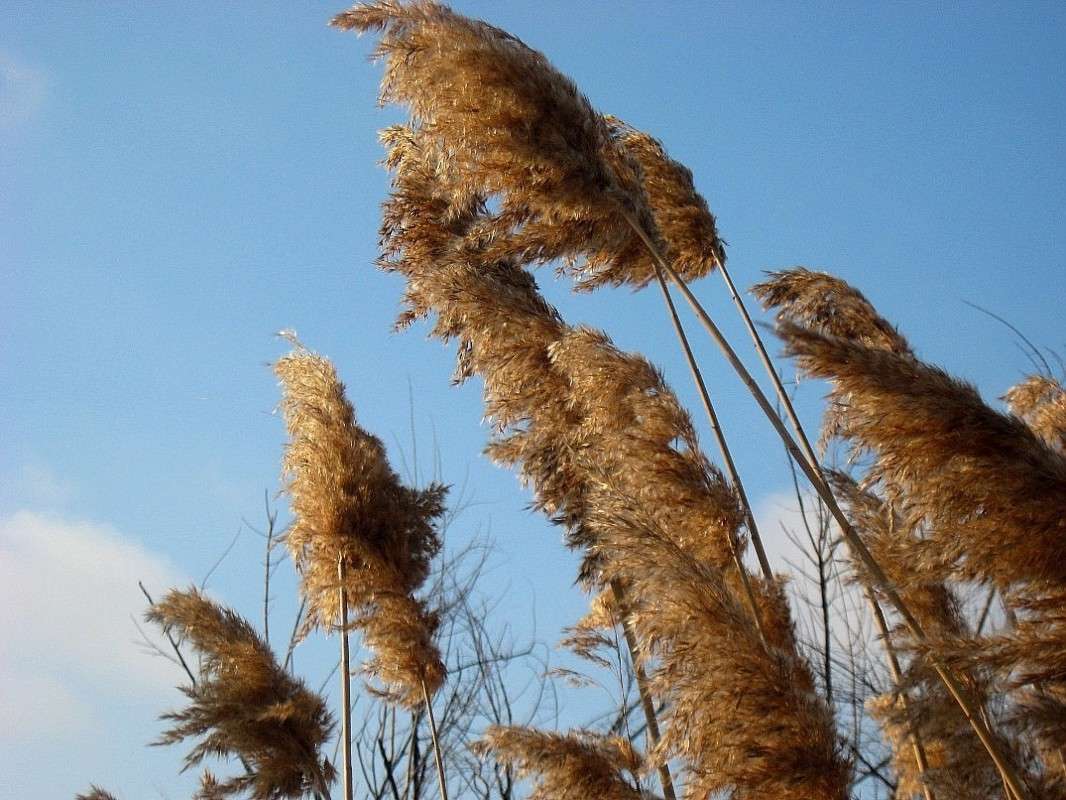 ... ����� Natali  ��������� �� PhotoGeek.ru #������ ��� ������� #����� ��������������