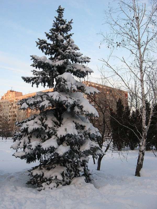 ... ����� Natali  ��������� �� PhotoGeek.ru #������ ��� ������� #����� ��������������