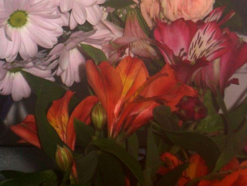 ����� ������ ����� Natali  ��������� �� PhotoGeek.ru #������ ��� ������� #����� ��������������